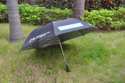Custom Designed 2 Fold Umbrella With Case